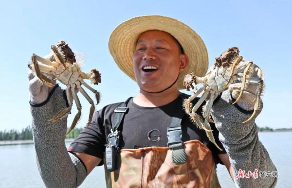 看！2500萬人的豐收圖景