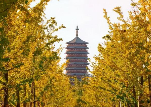 第三批集中供地,豐臺區或將上市250億貨值 第三批集中供地,豐臺區或將上市250億貨值