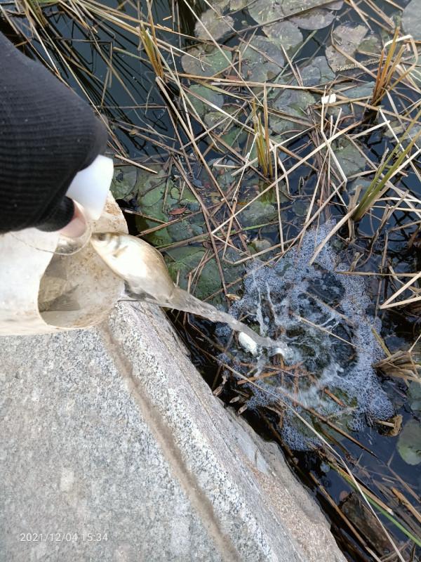天氣越好魚口越不好，你贊意這個的觀點嘛，歡迎大師留言