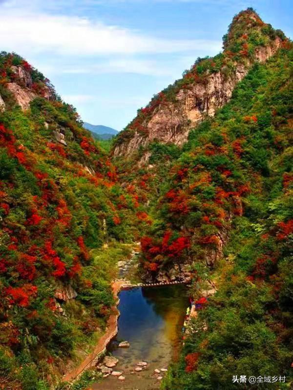 欒川的大景區都免費了，趁著秋日去欣賞紅葉，門票錢能省下不少