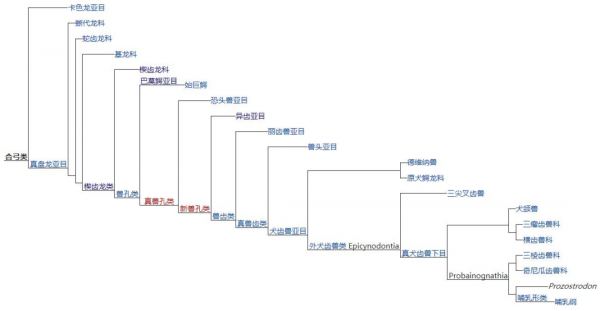 二疊紀&mdash;&mdash;古生代最後的時光，地球變成煉獄