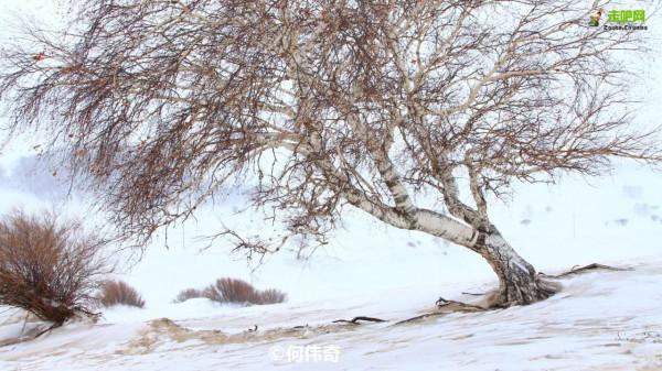 這些景點太治癒了，看完心情好了10000倍