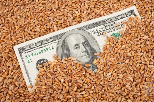 美國低價將糧食出口給中國,他們究竟為了什麼? 美國低價將糧食出口給中國,他們究竟為了什麼?