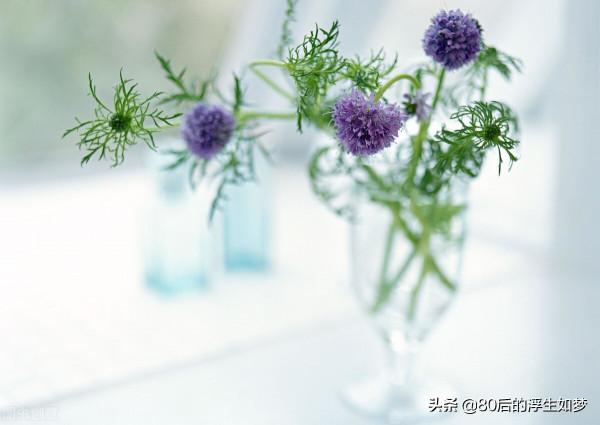 成熟，從放低期待開始