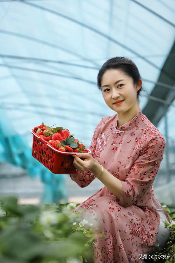 【組圖】草莓：紅果綠葉香滿園