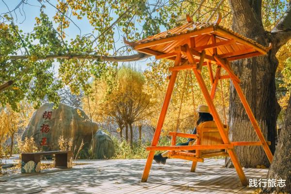新疆喀什投入1.23億的金胡楊景區,看看68元的門票到底值不值 新疆喀什投入1.23億的金胡楊景區,看看68元的門票到底值不值
