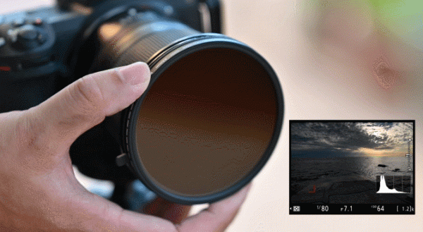 省錢買A7M4?曬曬趴趴雙十一買了啥 省錢買A7M4?曬曬趴趴雙十一買了啥