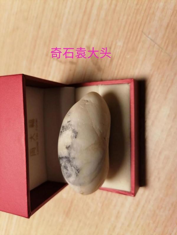 奇石戲裝穆桂英／袁大頭