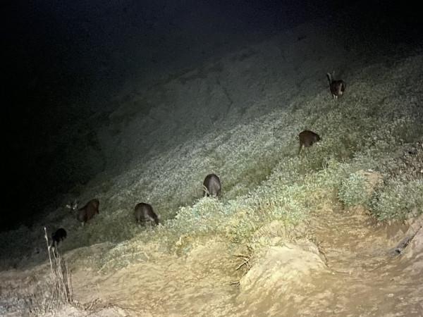 揹包中的“勞斯萊斯”,神秘農場揹包使用體驗