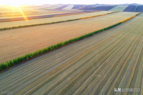 生產隊時期,農民幾乎天天出工,為什麼糧食產量不高?(續) 生產隊時期,農民幾乎天天出工,為什麼糧食產量不高?(續)