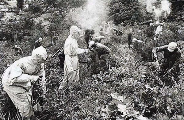 抗美援朝時期,中國人產生喝熱水的習慣,正是喝熱水拯救了一代人 抗美援朝時期,中國人產生喝熱水的習慣,正是喝熱水拯救了一代人