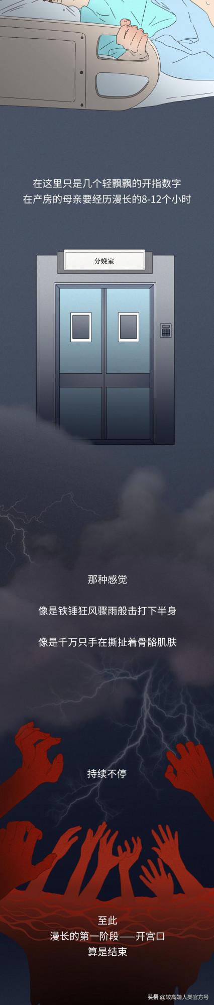 你出生前的24小時,都經歷了什麼? 你出生前的24小時,都經歷了什麼?