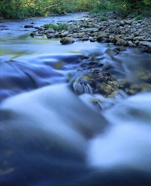 佛蒙特森林風光