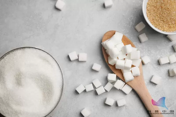 清淡飲食=喝白粥？醫生口中的&quot;清淡飲食&quot;原來是這樣