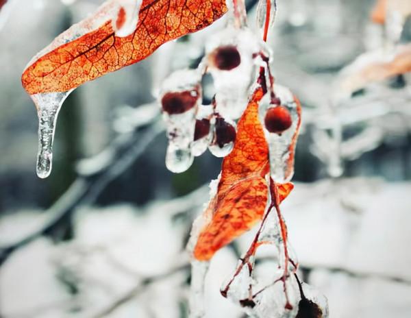 人生感悟：世界很好，你也是！一切都會好的