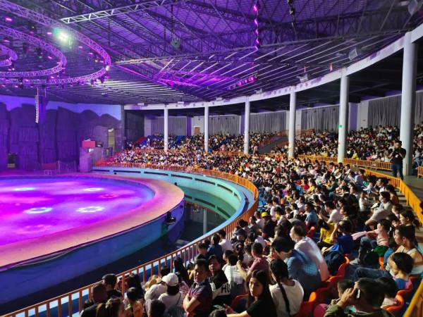 它們來啦!羊駝、設特蘭矮馬、浣熊等一大波萌寵,等你來圍觀 它們來啦!羊駝、設特蘭矮馬、浣熊等一大波萌寵,等你來圍觀