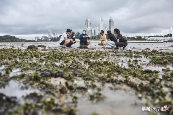 新加坡最迷人度假小島訂下“碳中和”目標