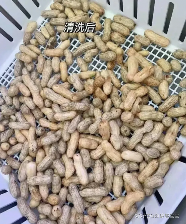 洗碗機洗萬物？春節期間全都用得上