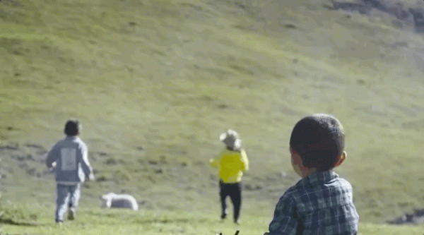 和西北人吃飯，這四道菜能讓你記一輩子