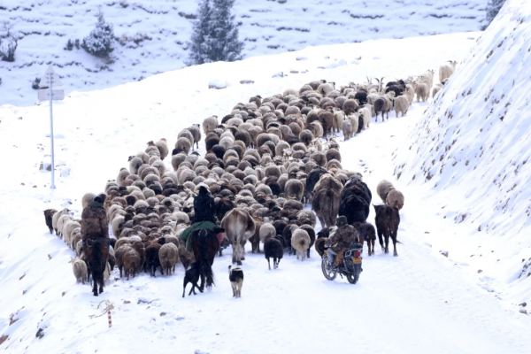 冬天新疆的美，被忽略了這麼多年