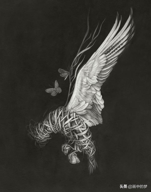 被羽毛包圍的鳥兒緊緊抓住他們流血的心 被羽毛包圍的鳥兒緊緊抓住他們流血的心