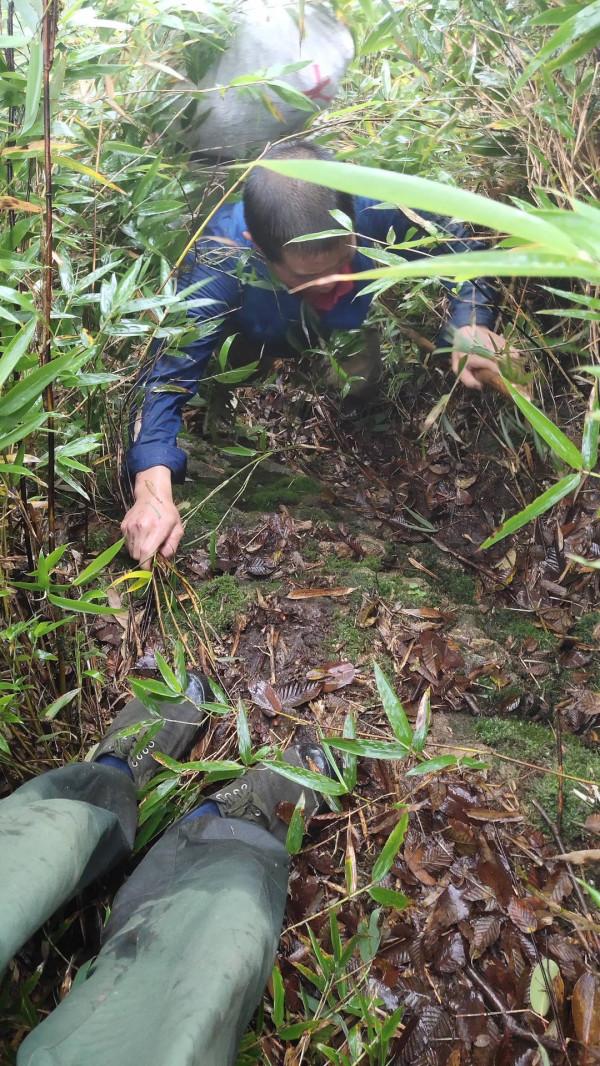 大熊貓國家公園彭州管護隊員:“守山”21年 徒步走遍保護區300餘平方公里 大熊貓國家公園彭州管護隊員:“守山”21年 徒步走遍保護區300餘平方公里