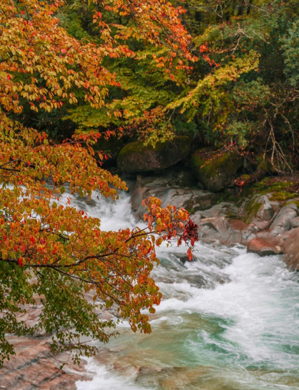 旅遊也要捲起來！！偷偷收藏秋季最美的8個地方....