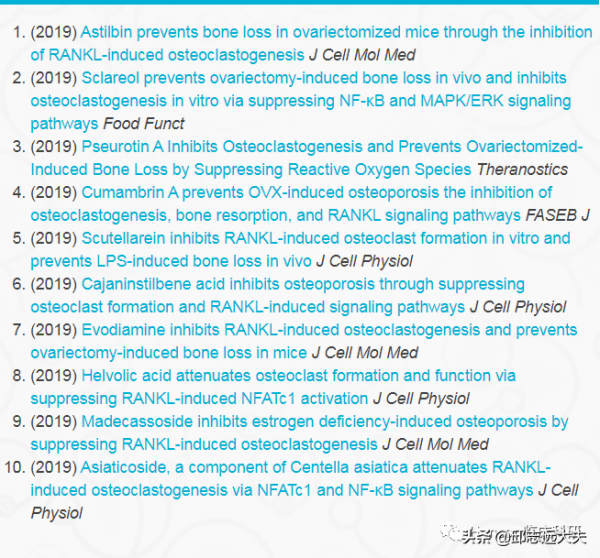 解析NF-κB訊號通路