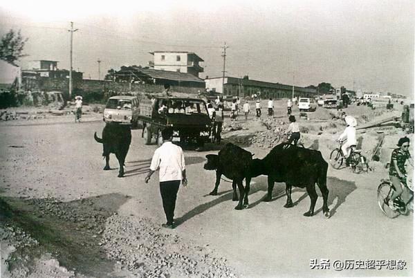 珍貴老照片合集(95張) 珍貴老照片合集(95張)