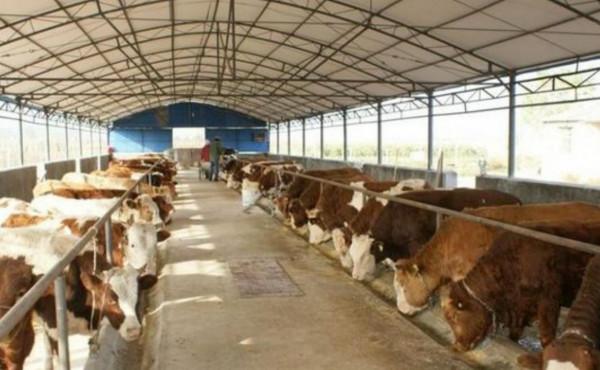 毛主席警衛員李連慶:76歲放棄副軍級生活,拿著積蓄回鄉帶村脫貧 毛主席警衛員李連慶:76歲放棄副軍級生活,拿著積蓄回鄉帶村脫貧