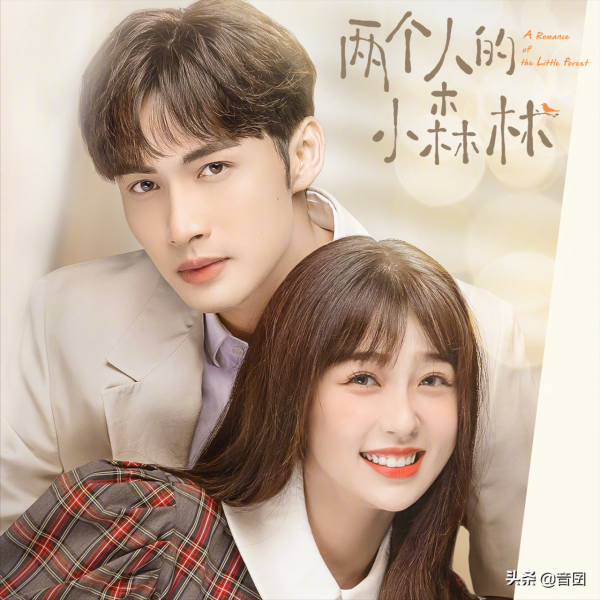 好劇推薦｜分享“22部”新年官宣“即將開播”的電視劇都很期待哦