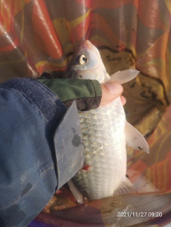 小小的改變讓爆護不是難事，哪裡跌倒就要從哪裡爬起來