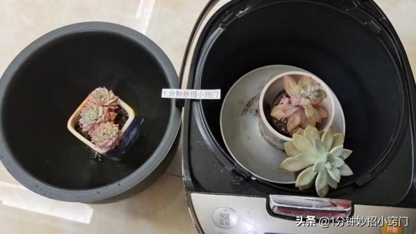 賣廢品時，廢舊電飯鍋記得要留下來！家家用得到，看完在家翻出來