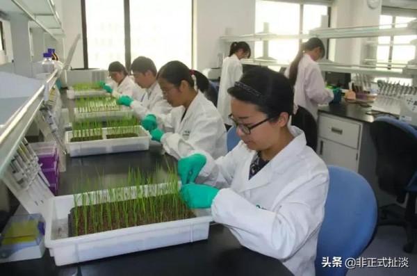 離京央企實力大揭秘（一）：中國中化