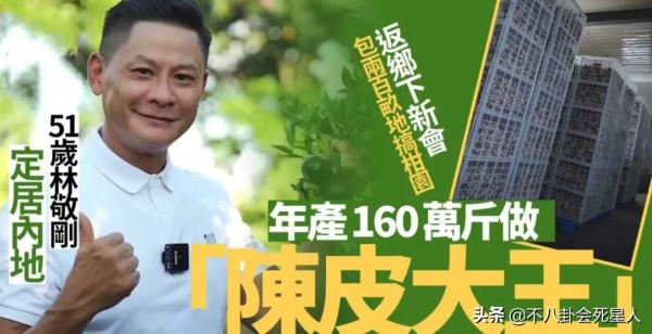 11位來內地做生意的香港藝人，個個很有頭腦，開餐廳的最多