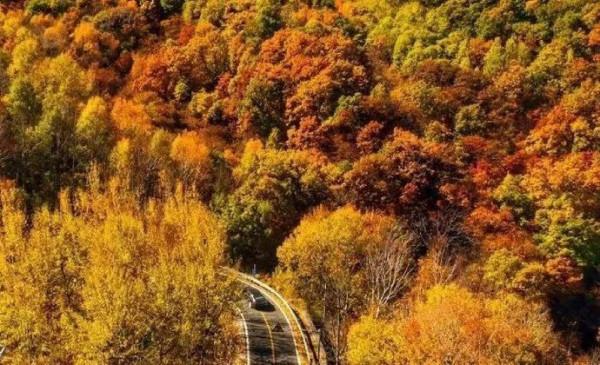 未來一個月,北京周邊的景色將是這樣的—— 未來一個月,北京周邊的景色將是這樣的——