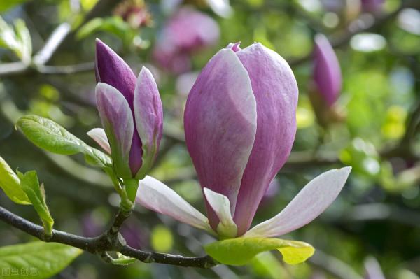 10月份運勢：金牛座、雙子座、天秤座