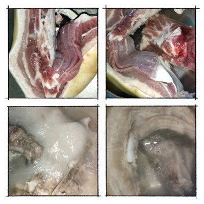 姑娘隔三差五就要吃魚腥草拌三線肉,超好吃還不長肉 姑娘隔三差五就要吃魚腥草拌三線肉,超好吃還不長肉