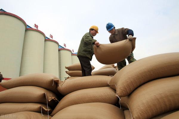 2004年,美國向中國發起大豆戰爭,中國慘敗,大豆市場被美國壟斷 2004年,美國向中國發起大豆戰爭,中國慘敗,大豆市場被美國壟斷