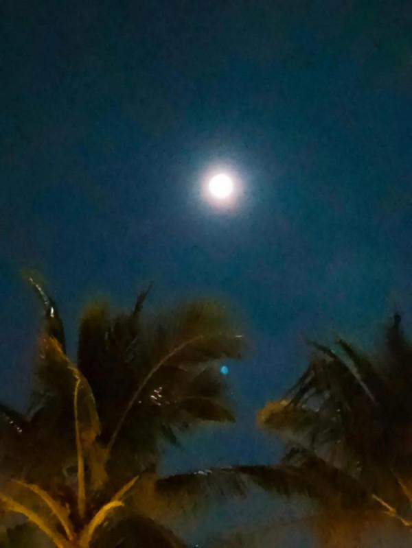 雲洞書院•金蟾衘月 雲洞書院•金蟾衘月