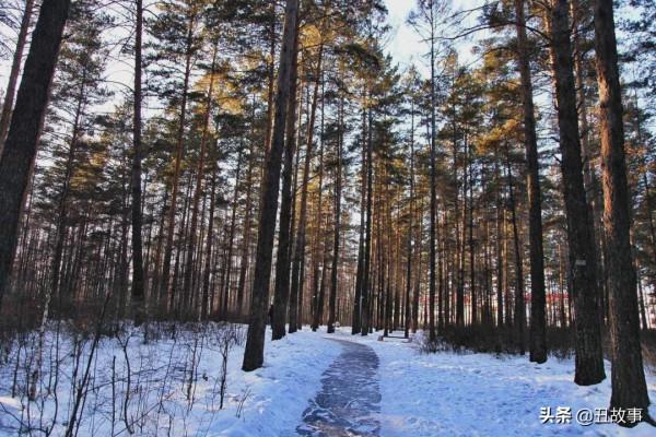 我是中國鐵道兵，從成昆鐵路到大興安嶺，兩次死裡逃生