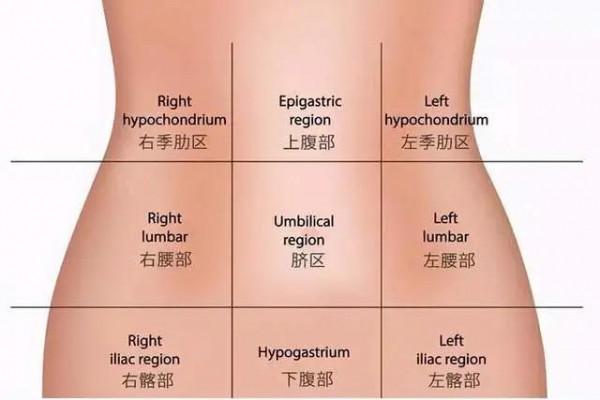 肚子怎麼瘦？4個原因，2個方法，瘦肚子原來那麼簡單