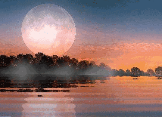 中秋——月是故鄉圓 中秋——月是故鄉圓