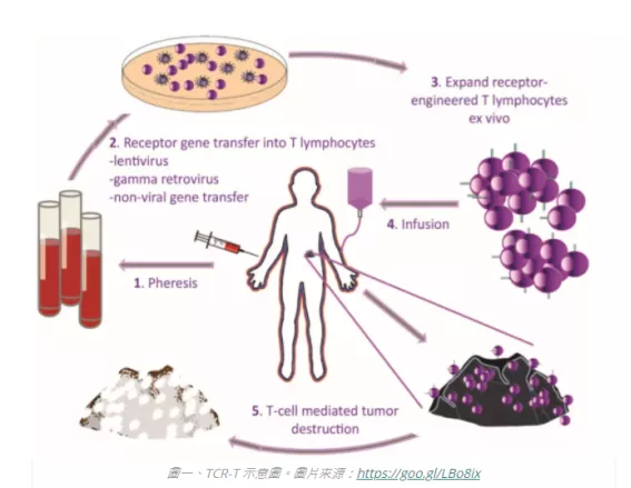 治療3個月,腫瘤病灶減小71%!新型免疫療法讓患者驚豔 治療3個月,腫瘤病灶減小71%!新型免疫療法讓患者驚豔