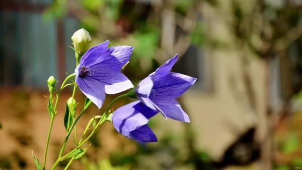事實上,有些女人命苦,可能是自找的 事實上,有些女人命苦,可能是自找的
