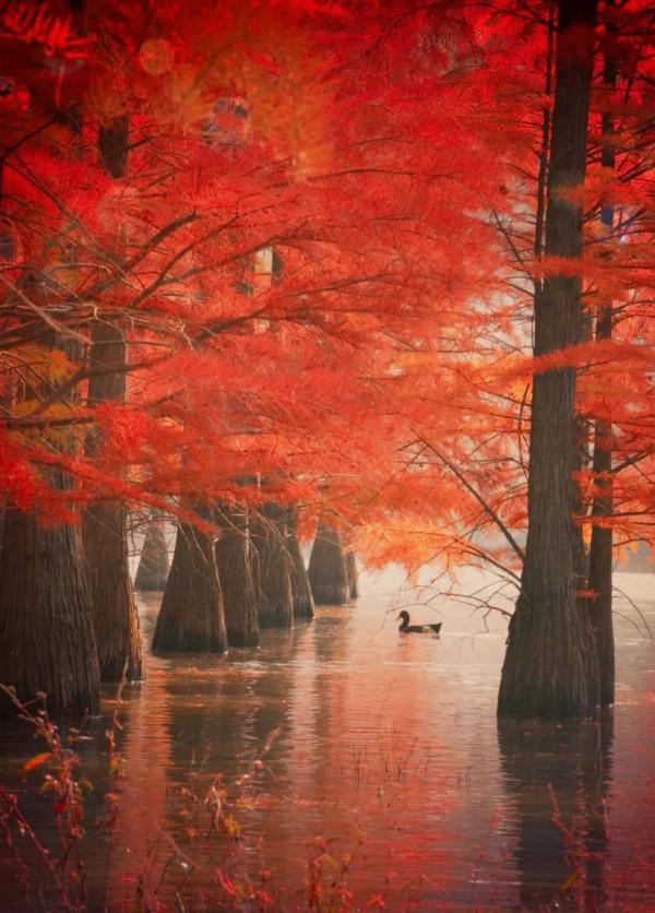 中國最美的50個地方,我竟然只去過10個,你呢? 中國最美的50個地方,我竟然只去過10個,你呢?