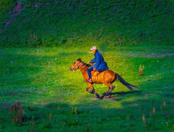 31天法定假日該咋花？
