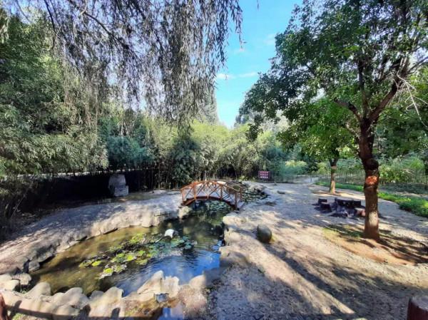 一個沒有文化的南方人對山東的初步印象 一個沒有文化的南方人對山東的初步印象