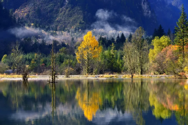 為什麼全國都愛四川的秋天! 為什麼全國都愛四川的秋天!