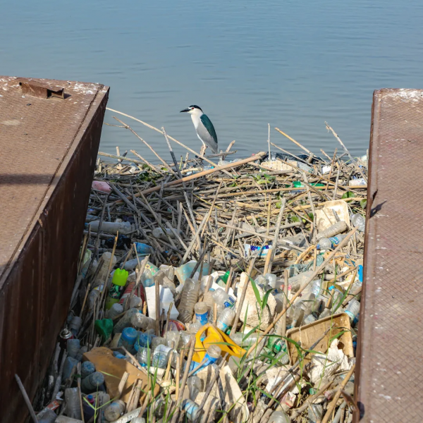 伊拉克，熱炸了｜地球知識局
